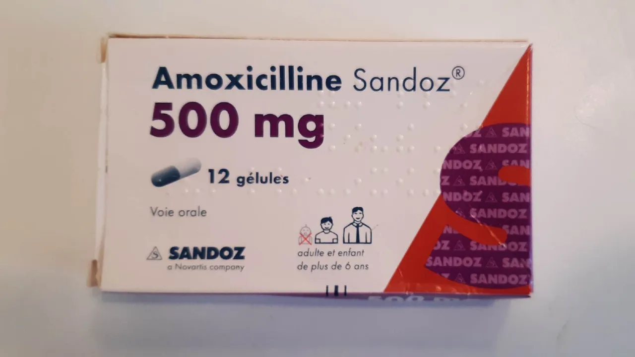 Amoxicilline 500 mg pour quoi