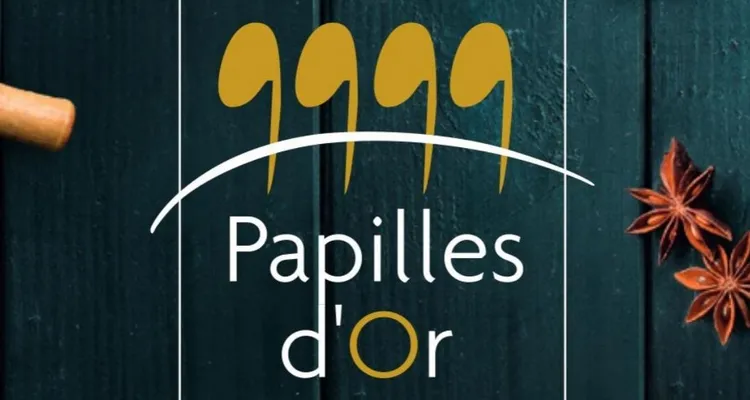 EVASION Quels talents essonniens vont être révélés par les Papilles d