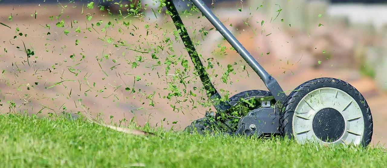 « Un carré pour la biodiversité » : les naturalistes de l’Ouest invitent à ne pas tondre en mai