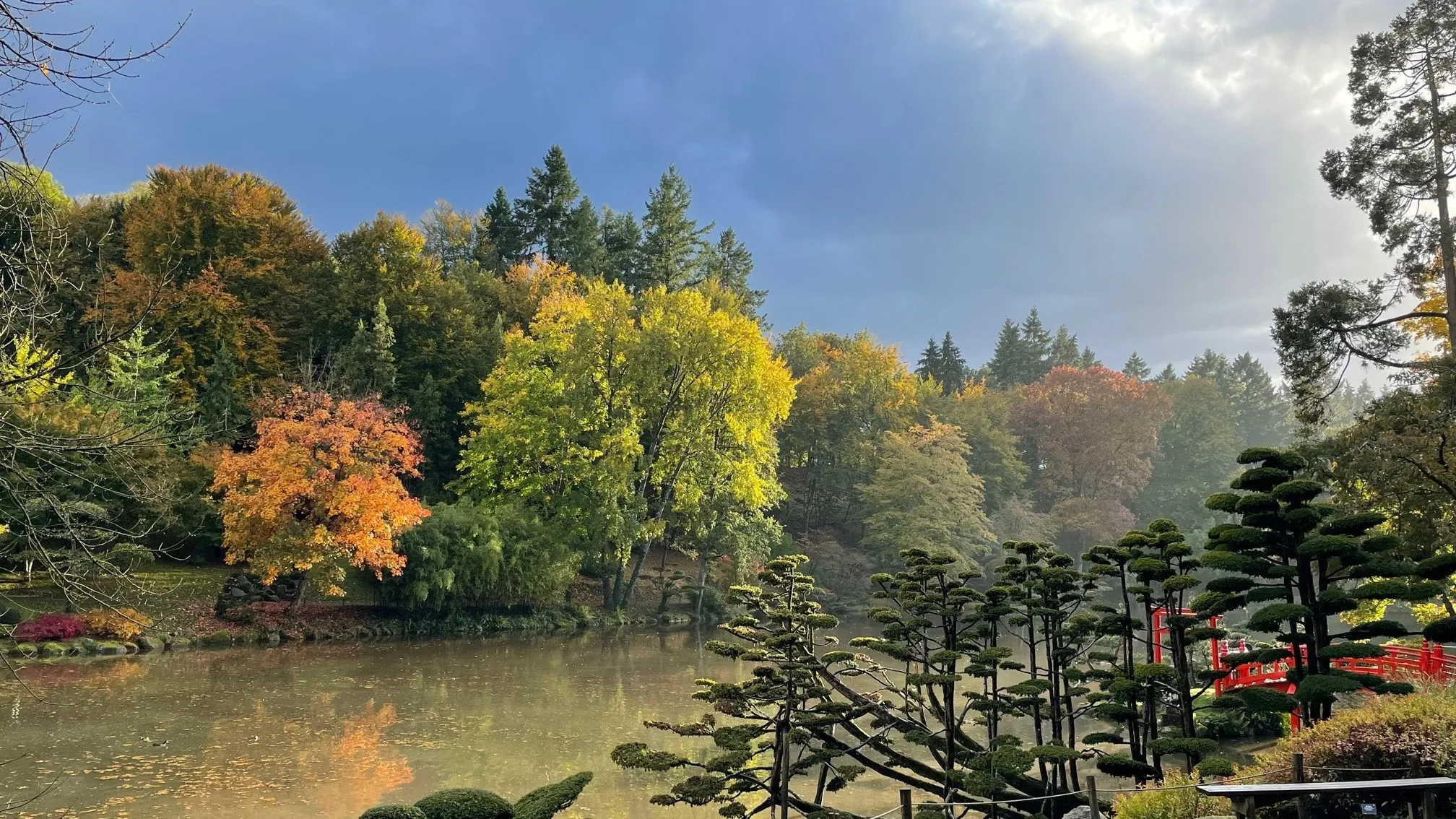 Maine-et-Loire : le plus grand jardin japonais d’Europe a rouvert ses