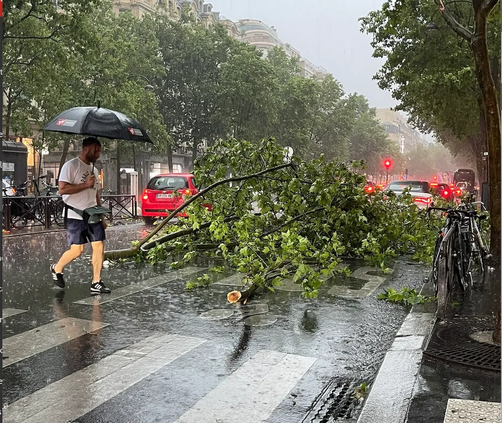 chutes-d-arbres-mini-tornades-des-d-g-ts-apr-s-les-orages-sur-l-le