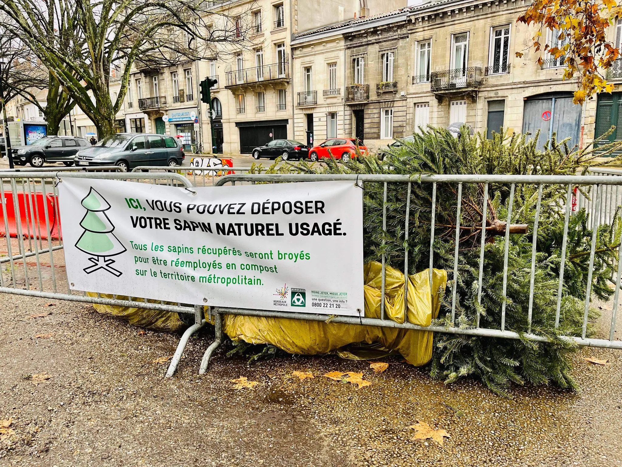 Gironde et LotetGaronne où jeter son sapin de Noël après les fêtes