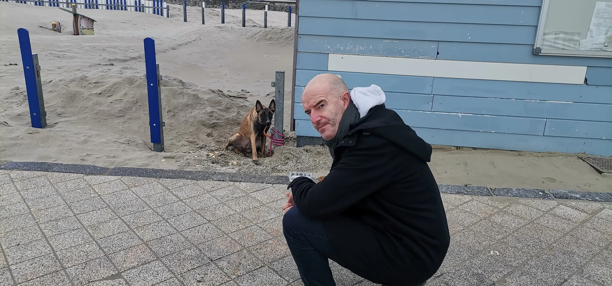 Un chien abandonné sur la plage de Boulogne, le service animalier intervient