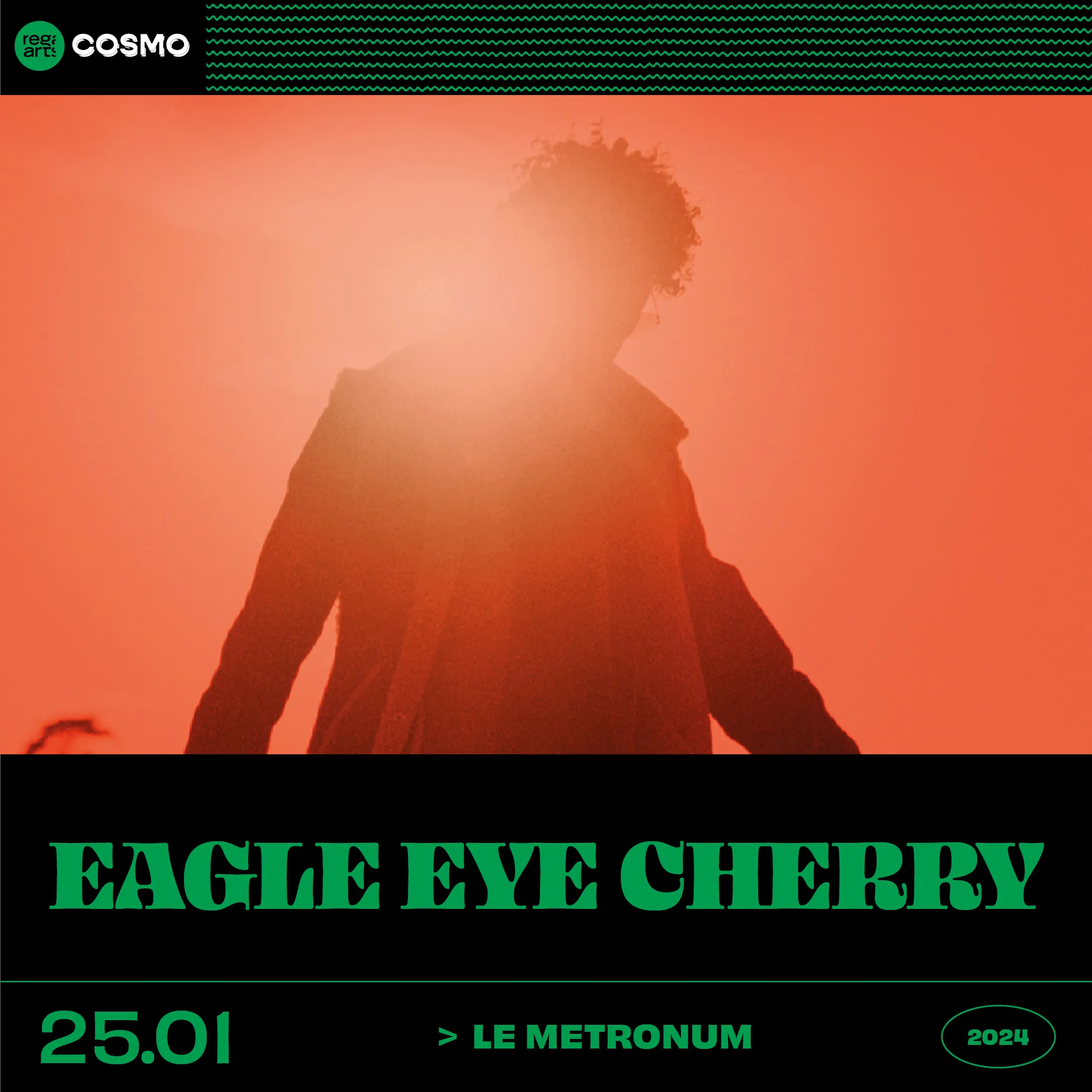 EagleEye Cherry A Toulouse