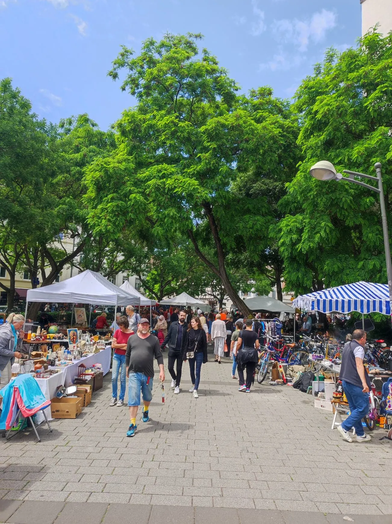 Le programme de la grande braderie de Strasbourg