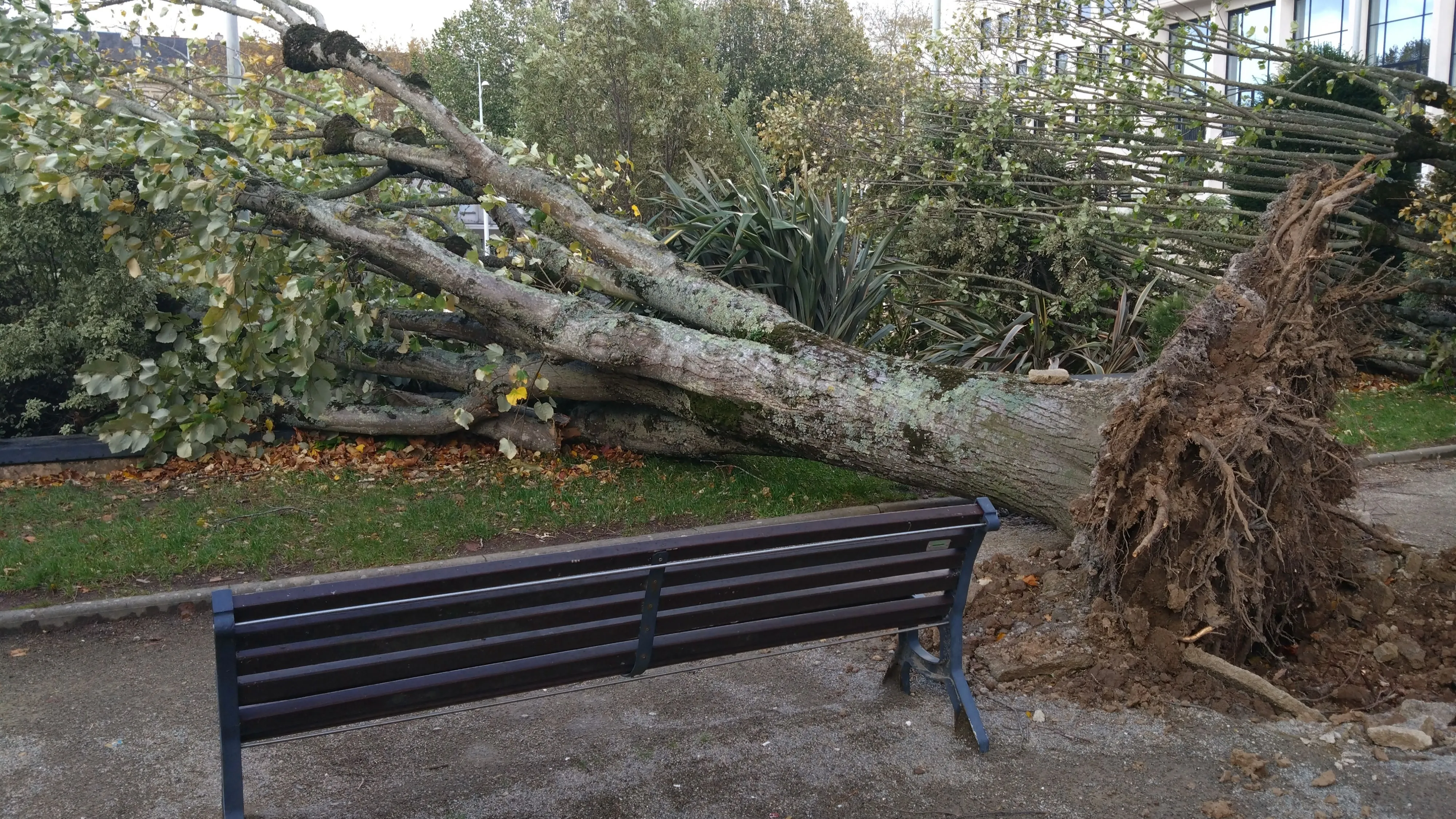 Tempête Ciaran : Ce Qu'il Faut Retenir Du Passage De La Tempête Dans La ...