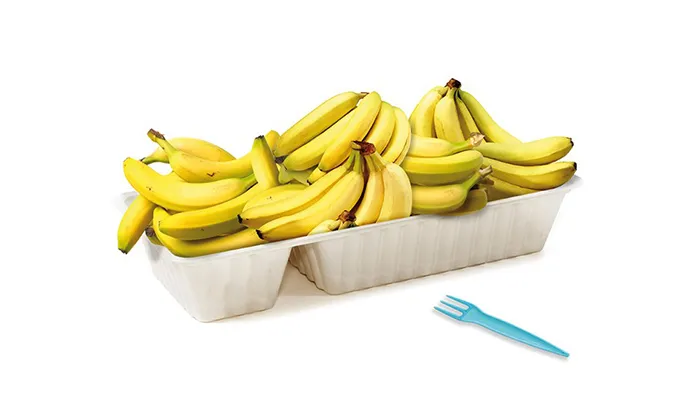 exposition-extra-ordinaire-banane