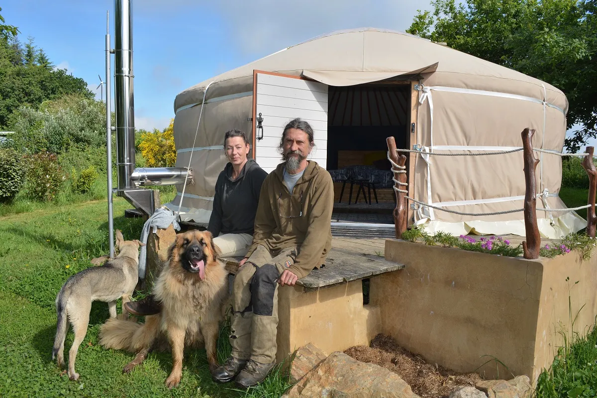 Un refuge des loups se visite en Bretagne - HIT WEST