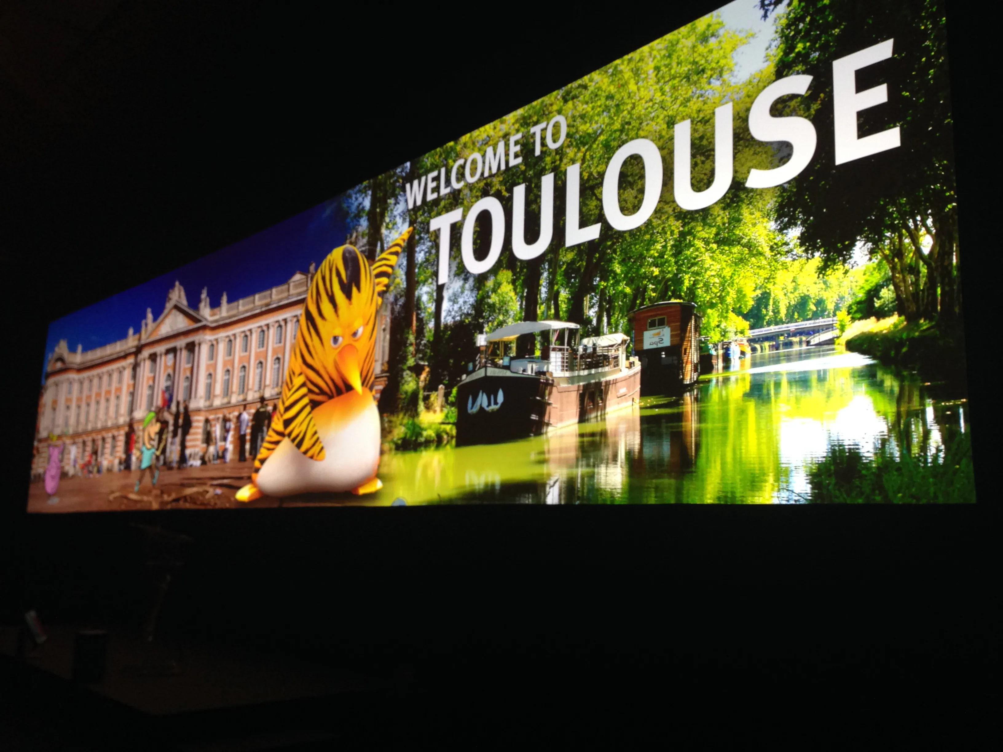 Le film d'animation bien représenté à Toulouse ! - Toulouse FM