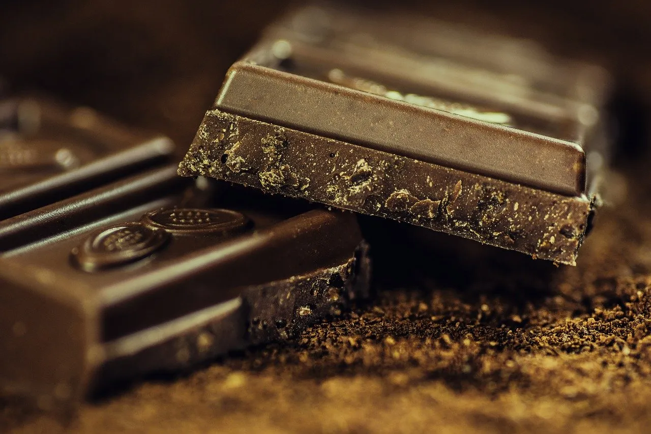 Actualité & Info : Chocolaterie Chapon et Boutique en ligne