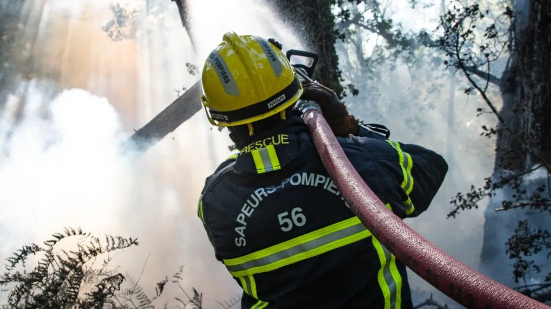 Feux de forêt : déjà 15 000 hectares brûlés en France à mi-saison...