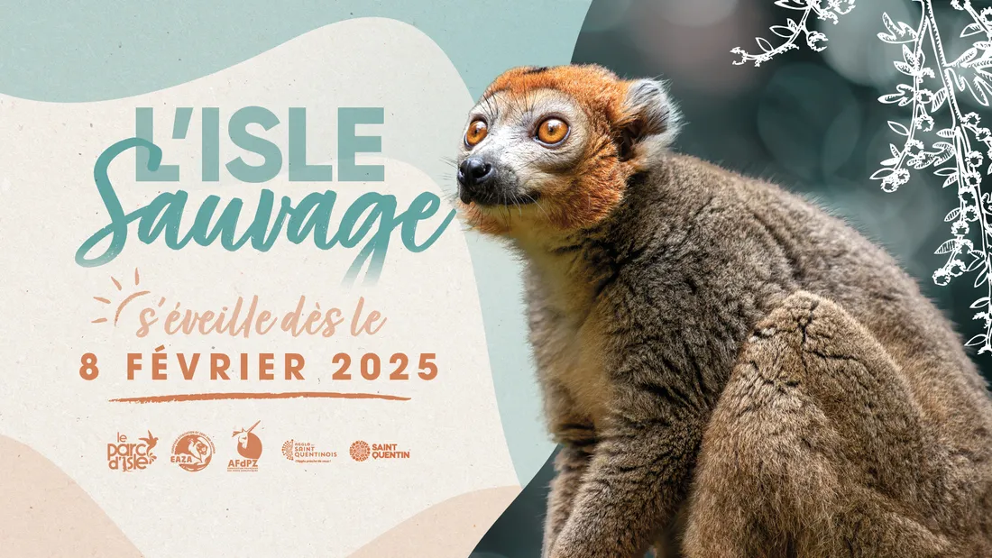L'isle sauvage