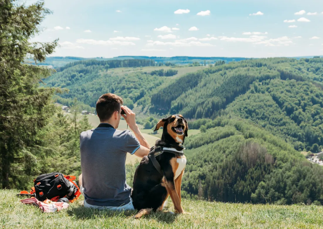 Visit Wallonia