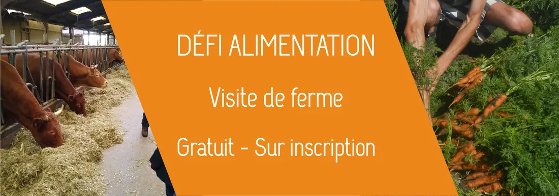 ALOUETTE
