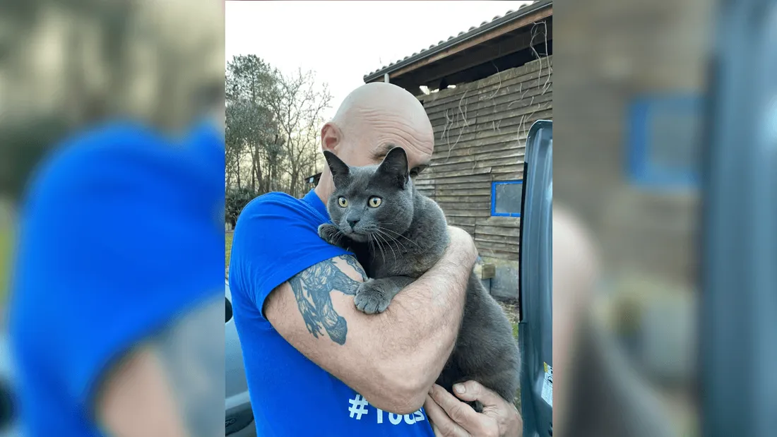 Un chat retrouvé 7 mois après les incendies en Grionde