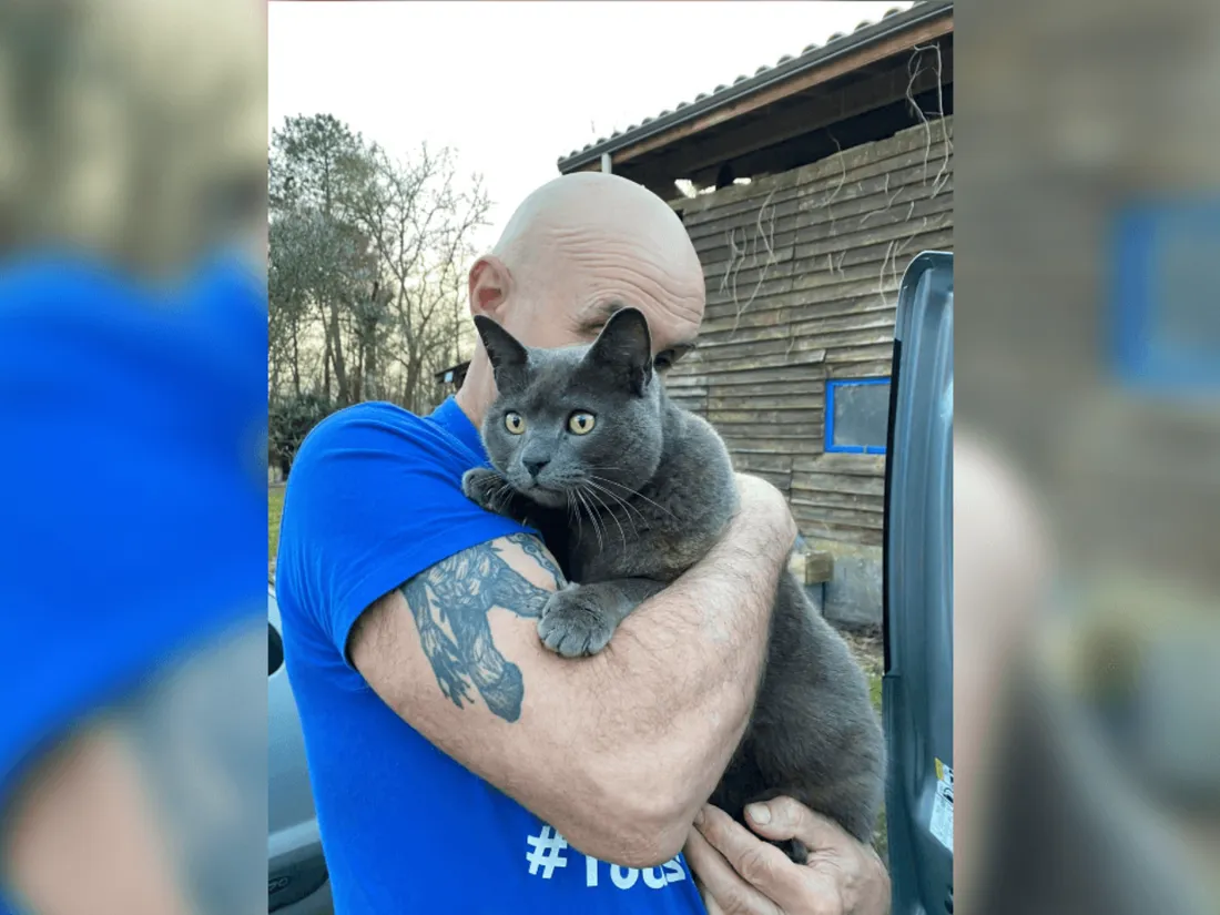 Un chat retrouvé 7 mois après les incendies en Grionde