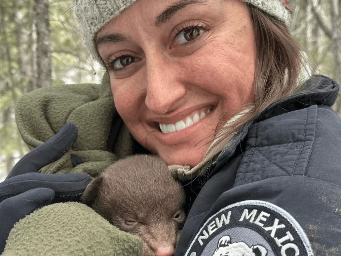 La fédération de chasse et pêche de l'État du Nouveau-Mexique recherche des "câlineurs d'ours"