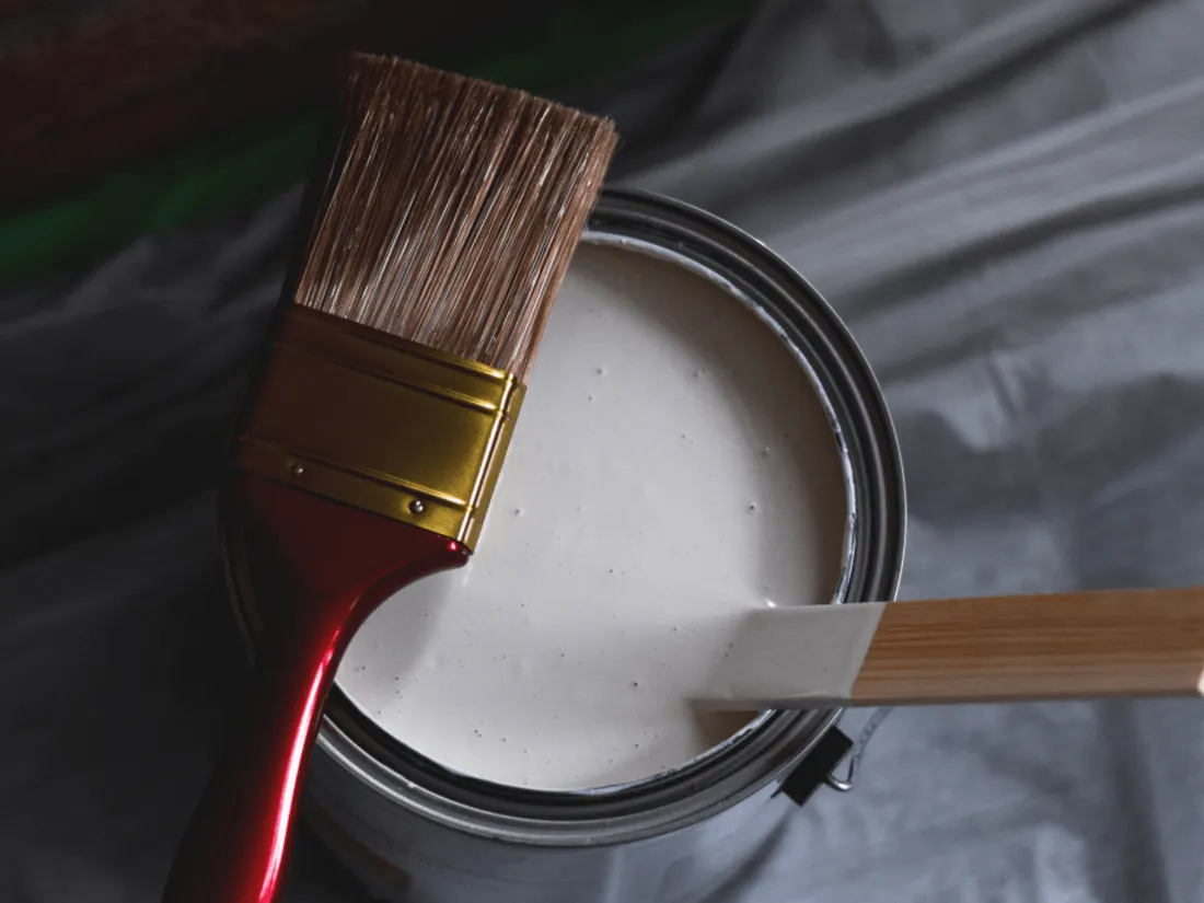 Peinture écoresponsable à base de coquilles d'huîtres et de résidus de pare-brise