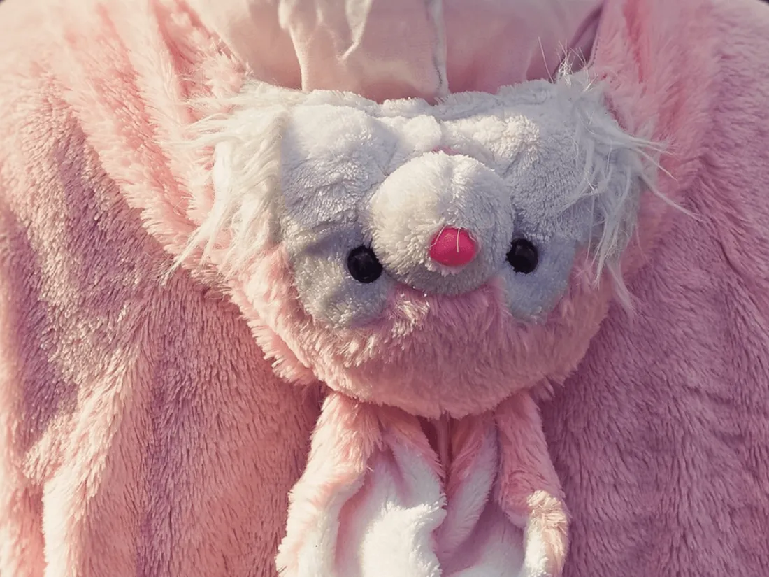 Ivre et déguisé en lapin, il finit en garde à vue