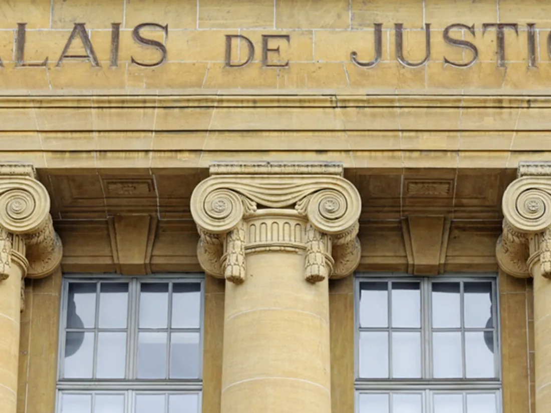 Quatre mois avec sursis requis contre un vétérinaire angevin