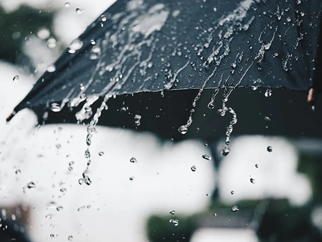 Pluie