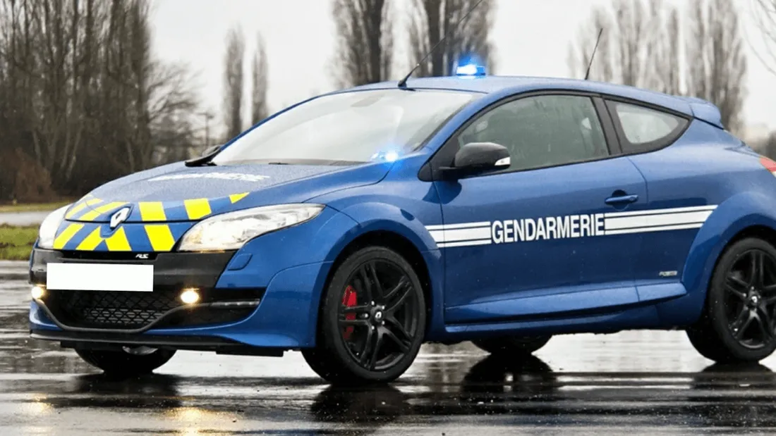 Mais pourquoi cette Renault Mégane R.S. de la gendarmerie est en vente à  700 € ?