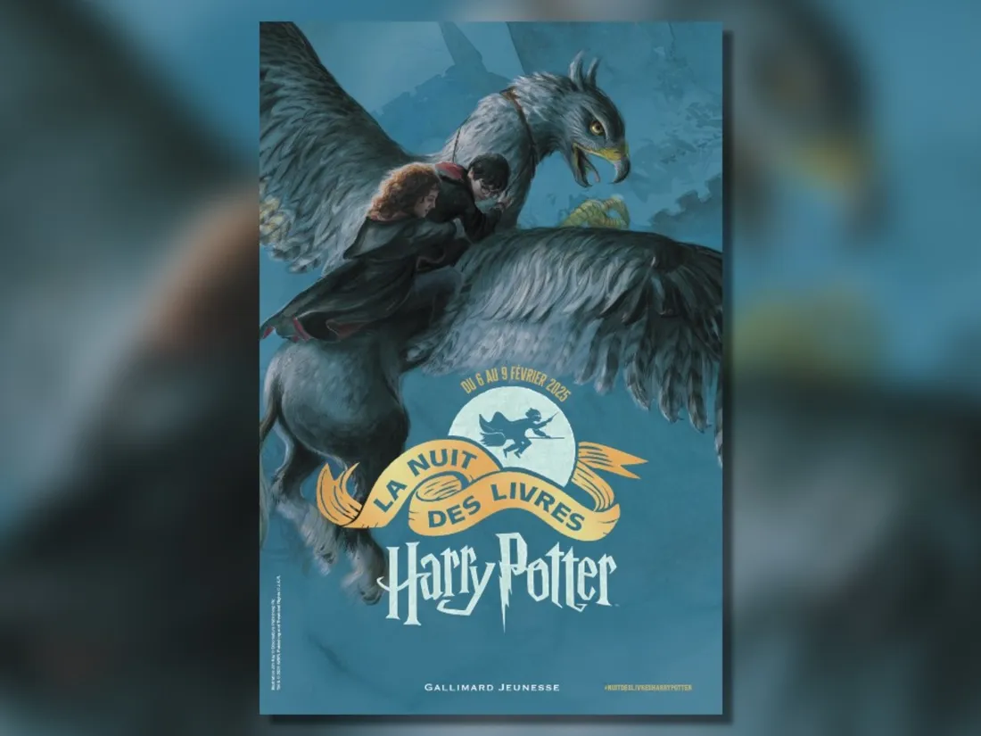 Affiche de La nuit des livres Harry Potter