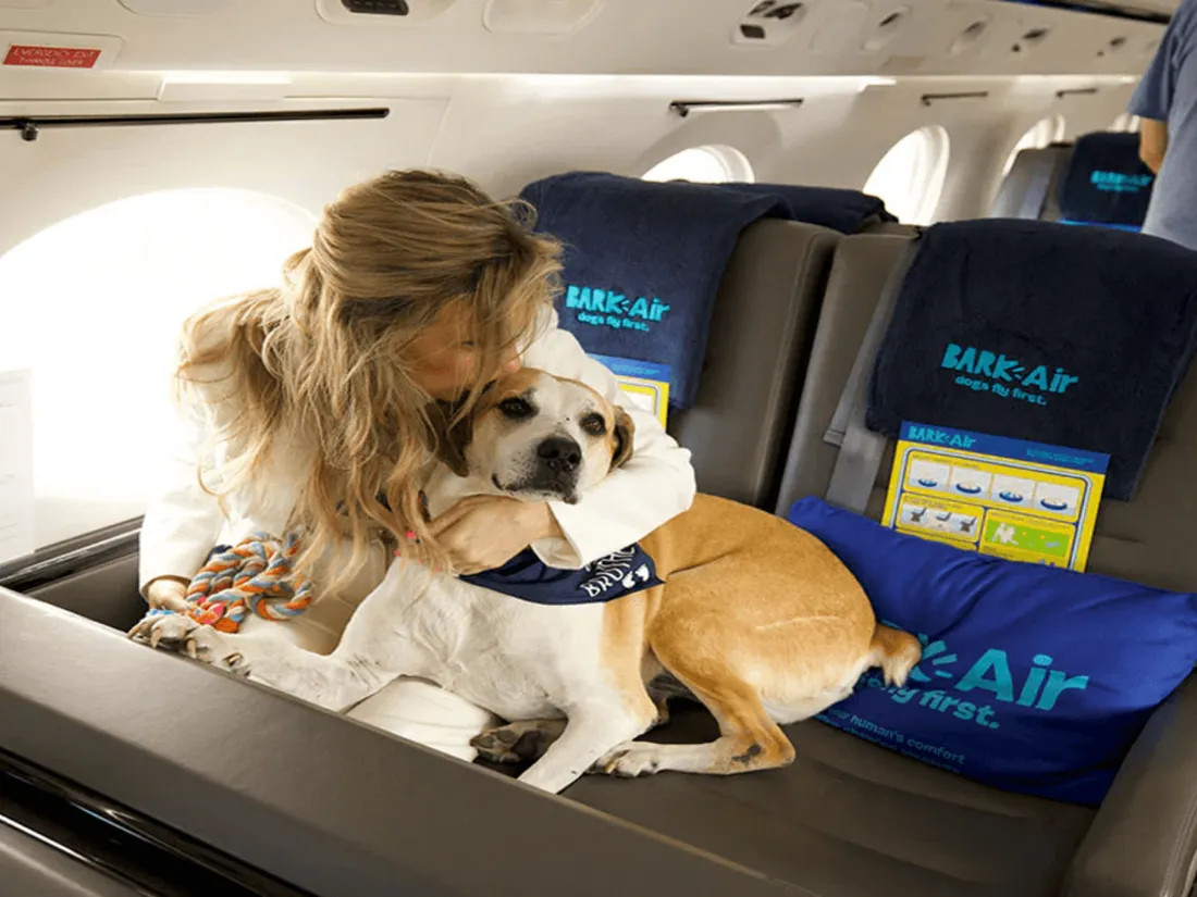 Bark Air
