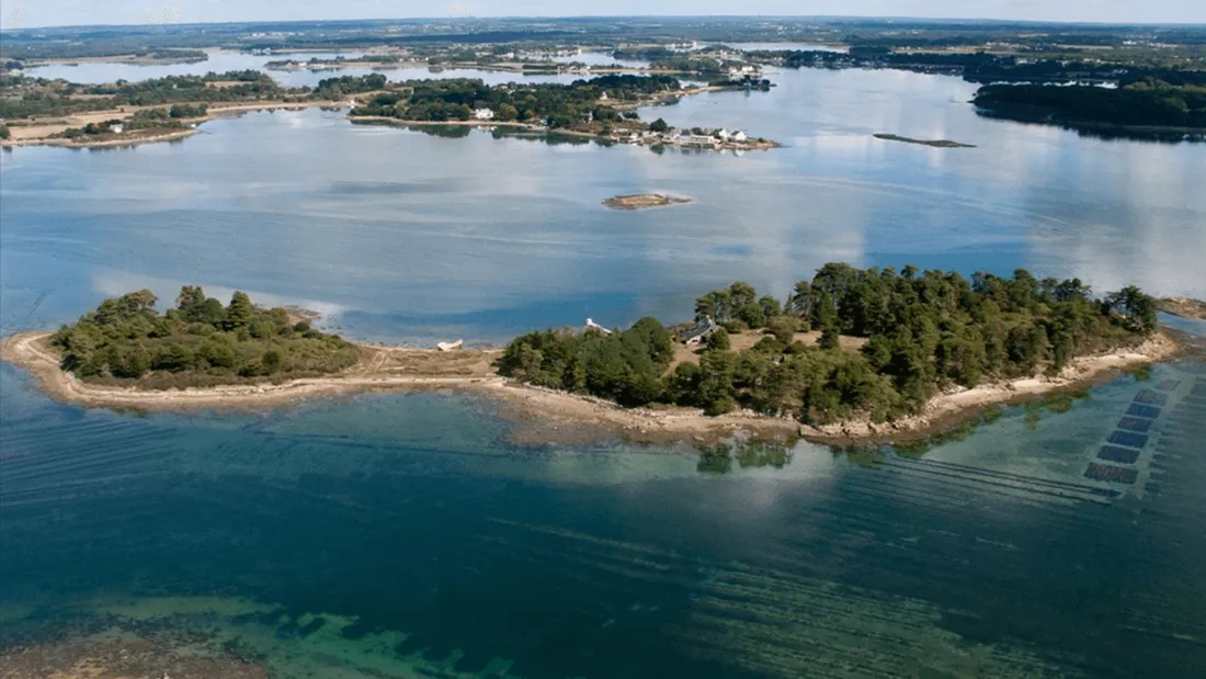 Dans la ria d'Étel, l'île de Fandouillec est à vendre ! 