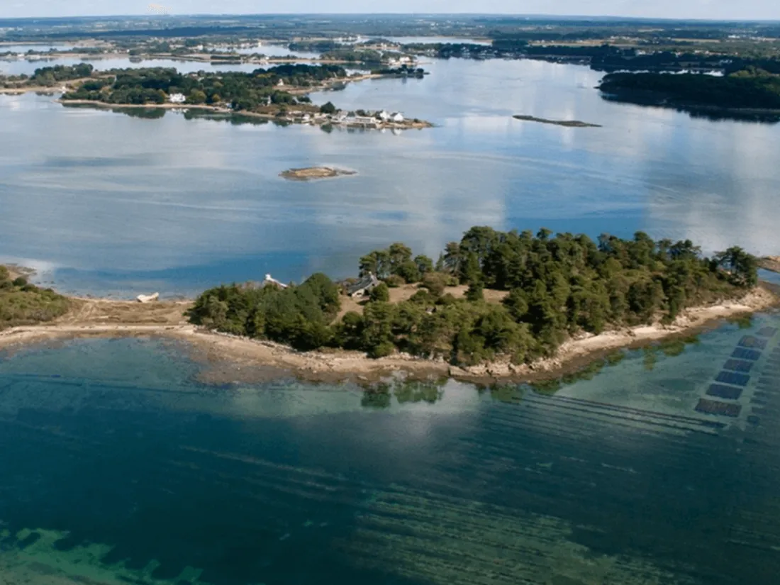 Dans la ria d'Étel, l'île de Fandouillec est à vendre ! 