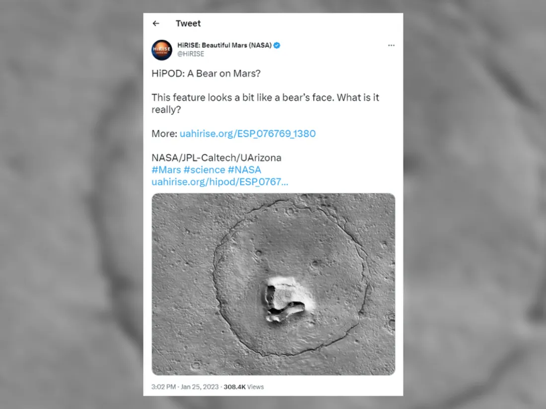 Un ours sur Mars?