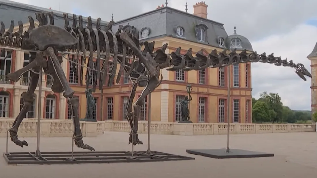 Squelette dinosaure