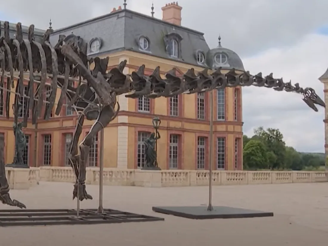 Squelette dinosaure