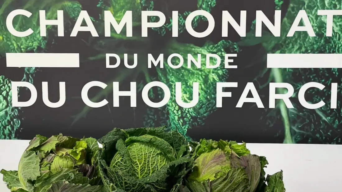 Affiche du Championnat du Monde de Chou Farci