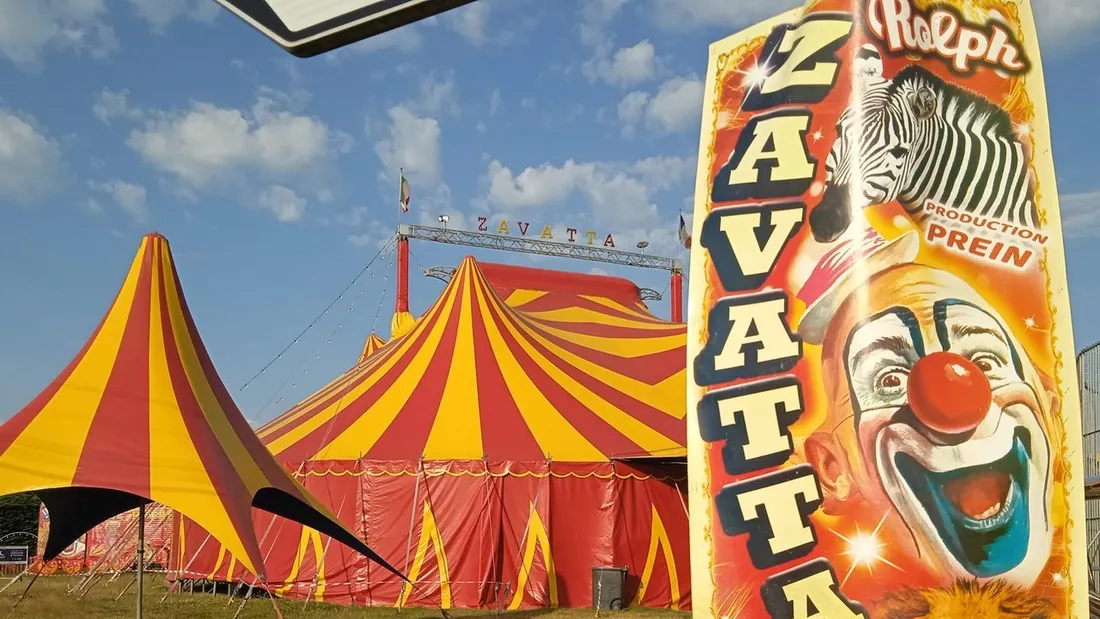 Animaux sauvages dans les cirques : Zavatta pas la bienvenue à Saint-Nazaire 