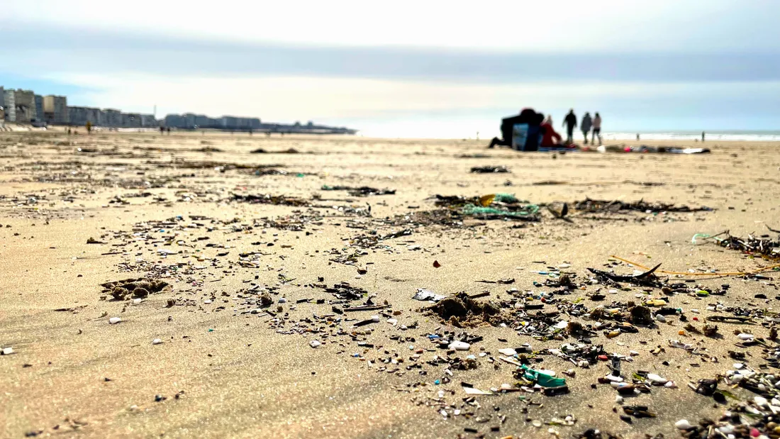 Les déchets sur les plages - l'un des effets des grandes marées