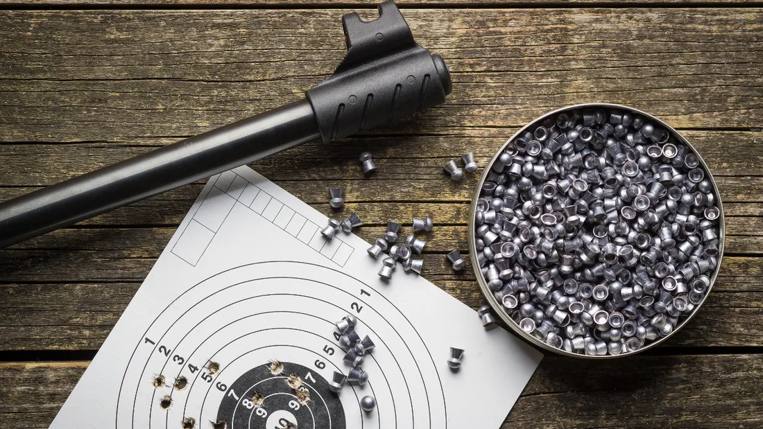 Le mis en cause utilisait un pistolet à plomb