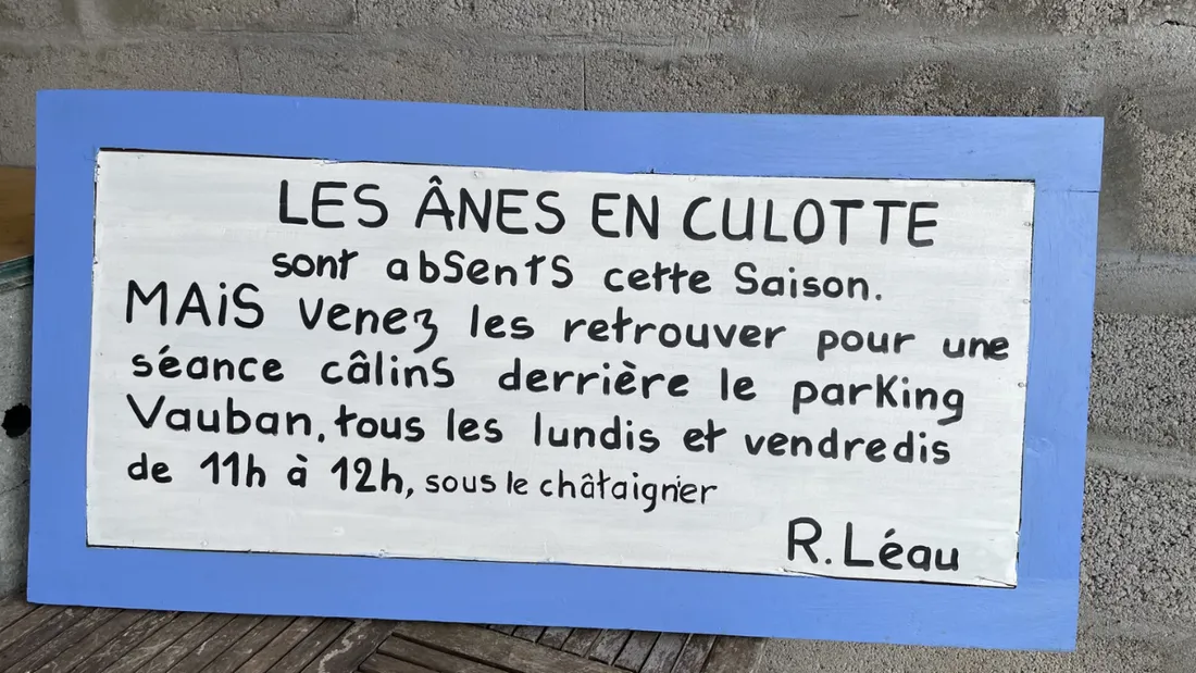 ânes en culotte