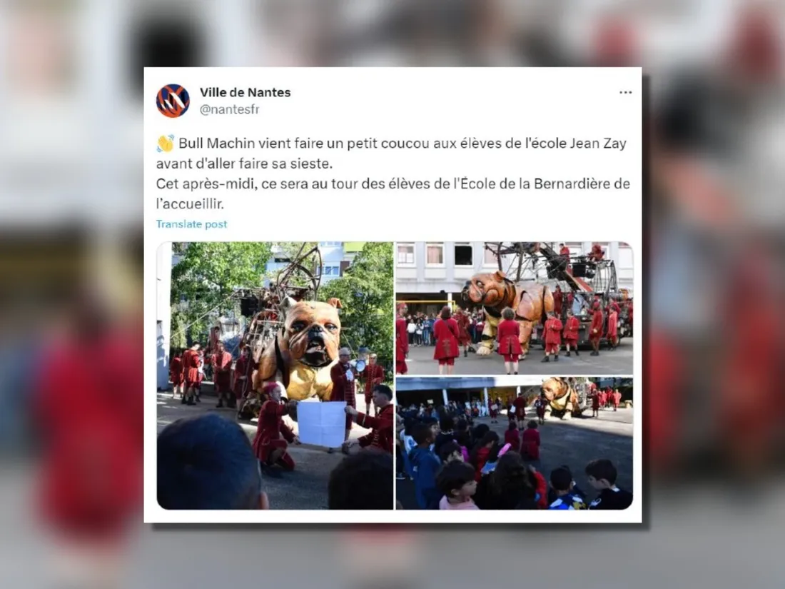 Des chiens géants débarquent à Nantes