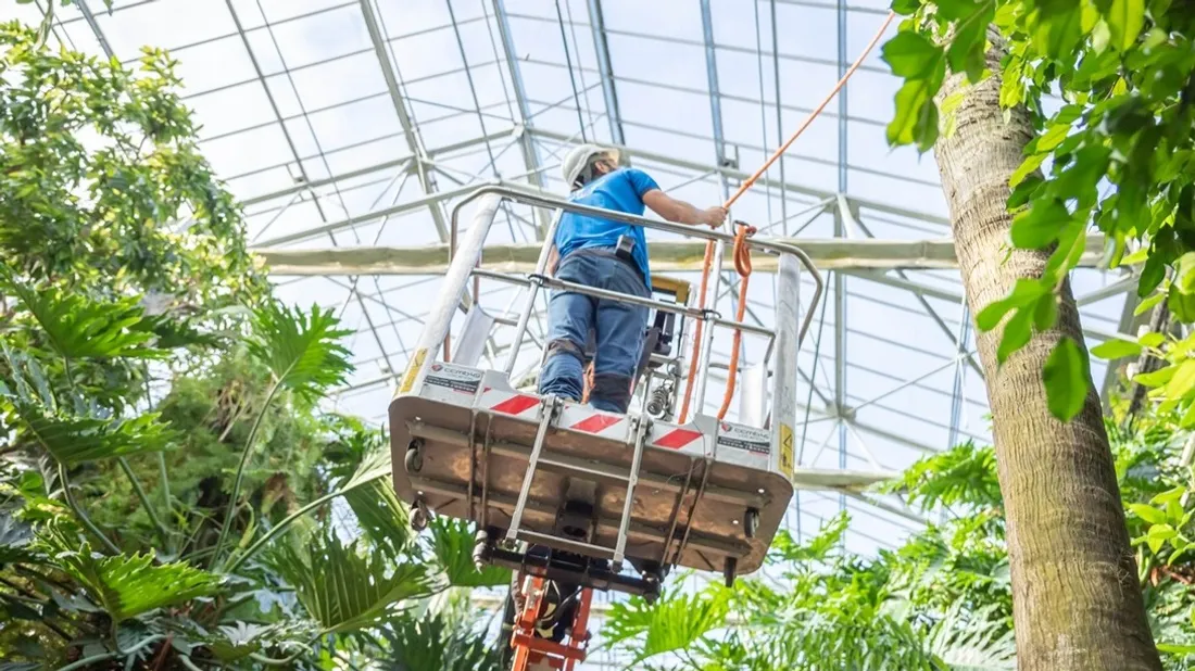 Terra Botanica 