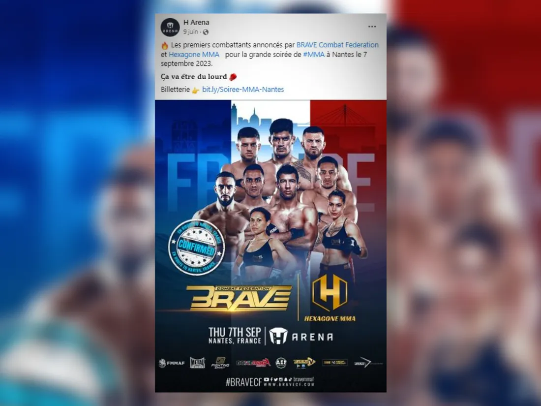 Arts Martiaux Mixtes : Nantes fait ses premiers pas dans le MMA