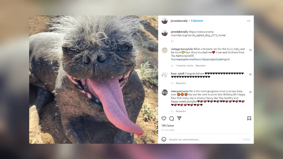 « Mister Happy Face » remporte le prix du chien le plus moche du monde