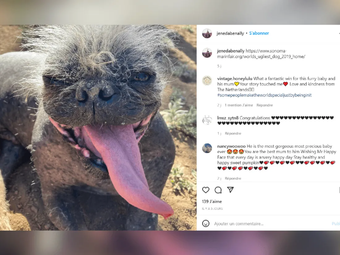 « Mister Happy Face » remporte le prix du chien le plus moche du monde