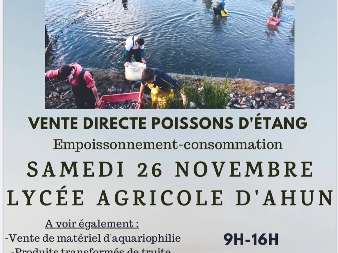 Vente directe poissons d'étang