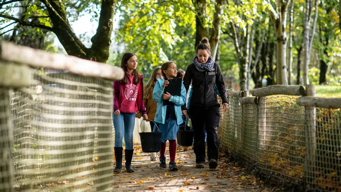 Planète sauvage : des stages "apprenti soigneur" pour les enfants !