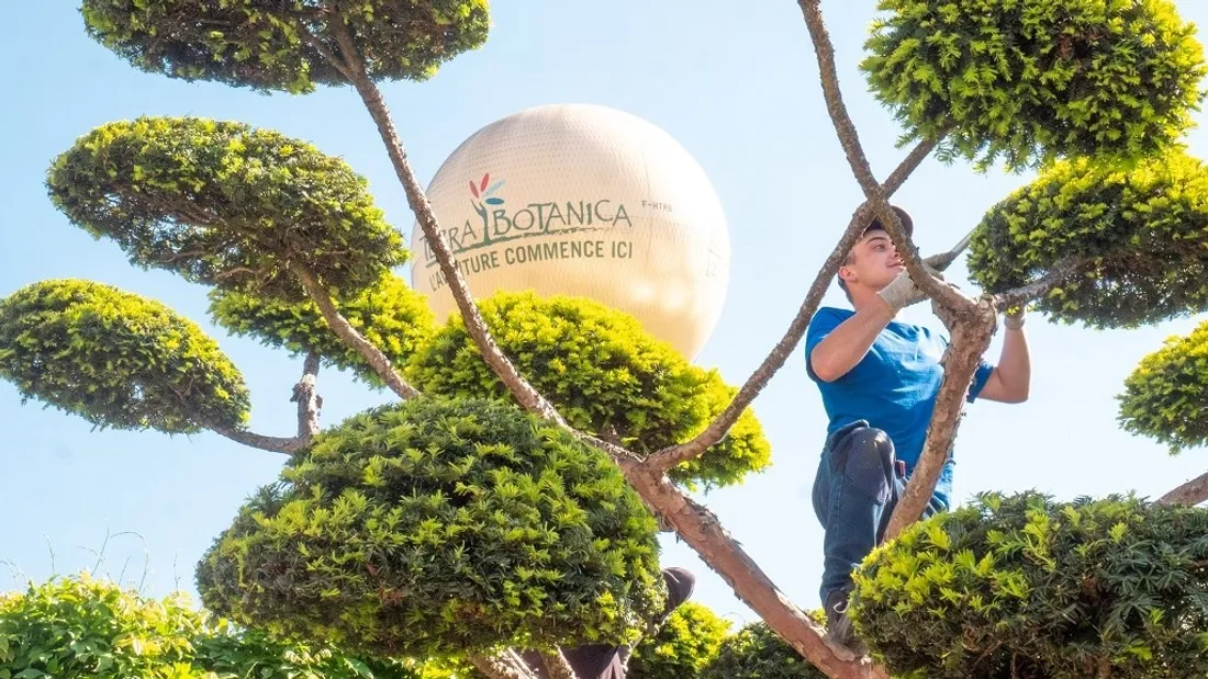 Un jardinier à Terra Botanica
