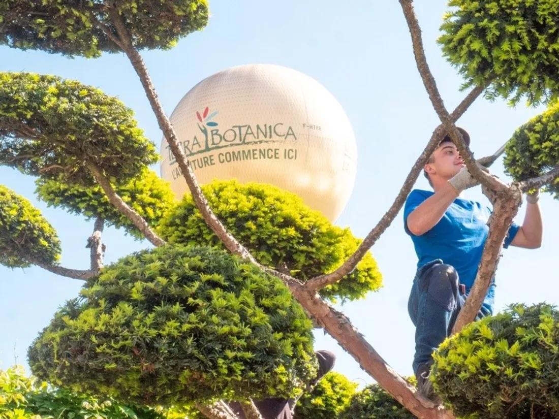 Un jardinier à Terra Botanica