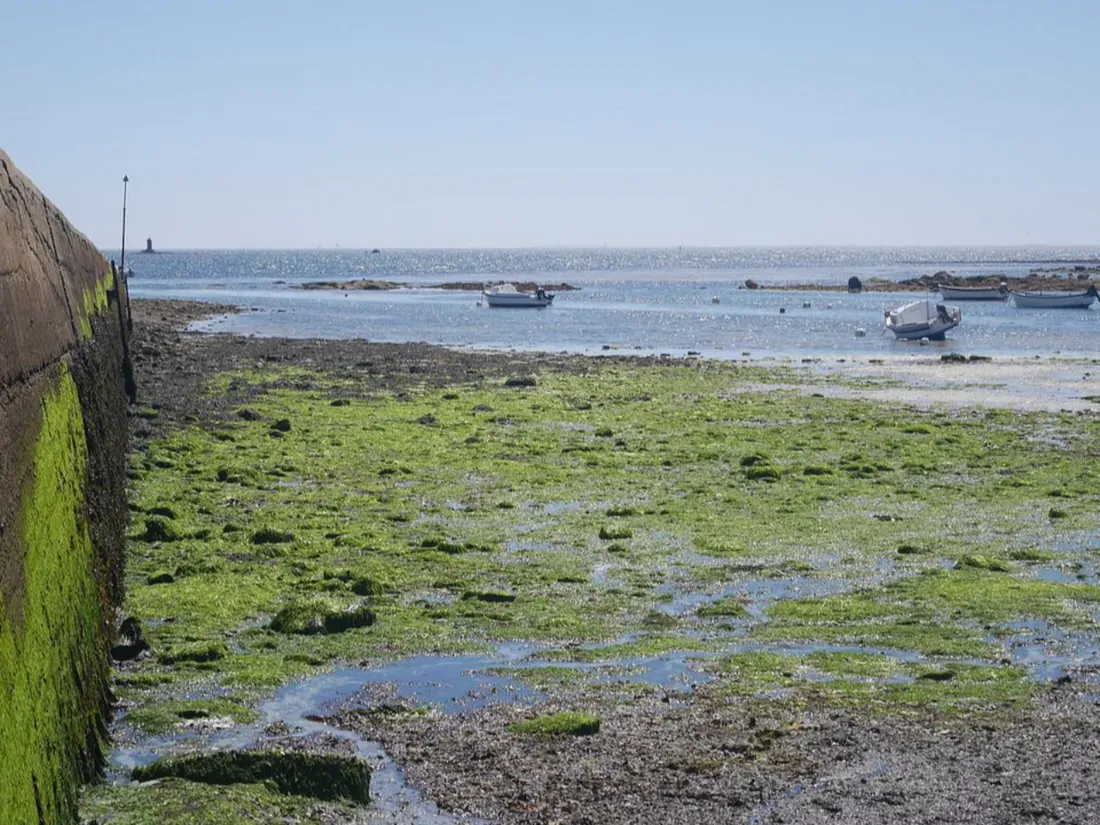 Eau et rivières de Bretagne attaque l’Etat en justice.