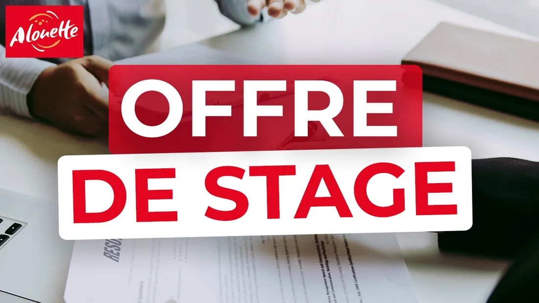 Offre de stage Alouette