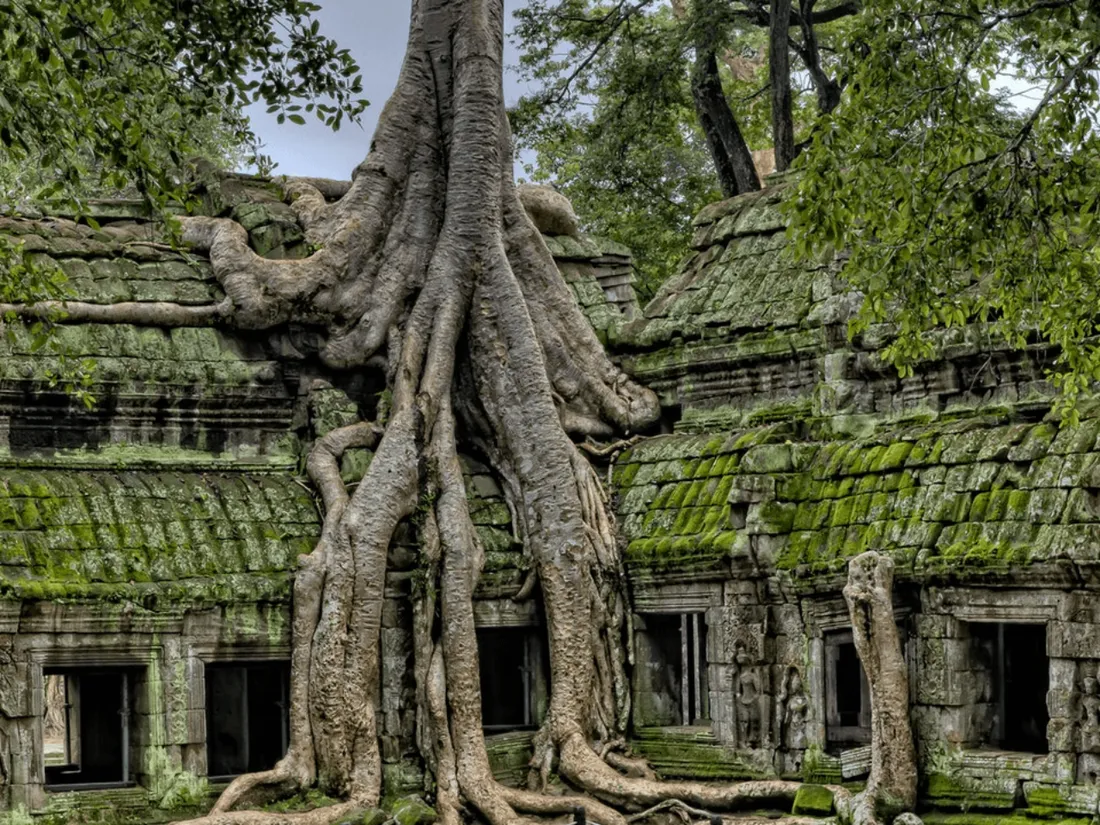 Des vestiges d’une ancienne civilisation retrouvés en Amazonie !